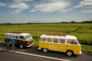Alila Seminyak - Alila Experiences - Rom Antique Roadshow 02
