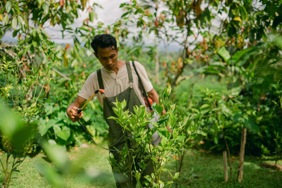 Organic Pesticide